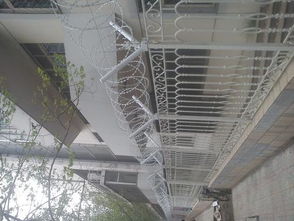 BTO 22不銹鋼滾刺籠廠 專業(yè)制造與廣泛應(yīng)用